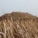 유천생태습지공원 화장실 이미지