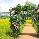 장미1길 이미지