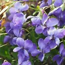 트리폴리스치과의원 | 드디어 치과 갈 타이밍! 인생 치과 탐방기 썰 푼다