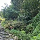 삼성동-28 | [템플스테이] 서울 약수사에서 만난 특별한 하루, 테라리움 만들기 템플스테이 🌿✨ 내돈내산 체험