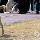 진도연합인력 이미지