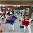 다온태권도 이미지