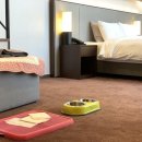 대관령호텔 이미지