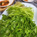 수월산방 | ​[양산/원동 순매원] 봄의 전령사 미나리 삼겹살 맛집, '수월산방' 후기 🌱