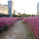 혁신도시중앙공원 이미지