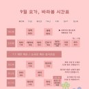 요가;바라봄