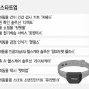 펫테크