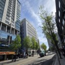 노블치과의원 이미지