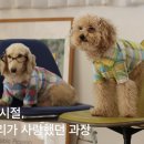 Hi정