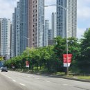 (주)마루펫 이미지