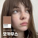 모카헤어 이미지