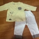 파코라반베이비 이미지