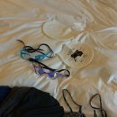 부산롯데호텔노동조합 | 롯데호텔부산 프리즘 클럽디럭스 패키지 이용후기