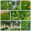 노작공원(오산천변) 이미지