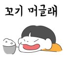 생생새우 이미지