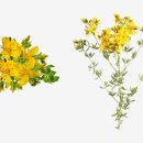 나사렛약국 이미지