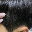 새치와까망머리 이미지