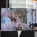 다홍헤어 이미지