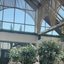 대소W호텔 | [W.02]대구 웨딩홀: 인터불고 만촌, 인터불고 엑스코 투어 솔직 후기