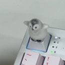 영재한의원 | ㅎㅇ