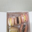 마카롱모리 이미지