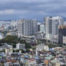 사직중앙로 이미지