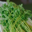 미나리삼겹살 이미지