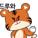 수원 락 실내바다 낚시터 이미지