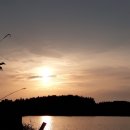 오늘은 장어 이미지