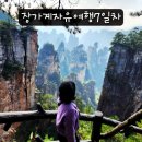 바로디엔지 | 중국 장가계 여행 자유여행으로만 갈수 있는 숨은 코스 추천