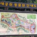 시간여행책대여점자판기 | 울산대공원 동물원 후기 아이랑 5월 나들이 추천 코스