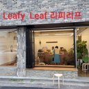 리피리프(leafy leaf) 네이버블로그