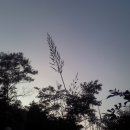 삶 오로지 다 이미지