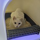 장자보3길 이미지