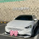 굿모닝자동차서비스 이미지