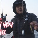The Hit 이미지