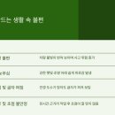 안경박사 이미지