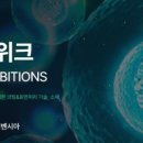 쎌텍 이미지