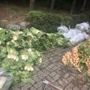 노은동경로당 이미지