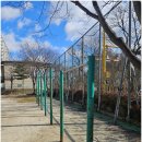 월봉중 | [승리체육사] ◈ 시소 충격 흡수재 교체, 체육시설 도색 및 보호대 시공 ,골망 교체 후기입니다 ◈