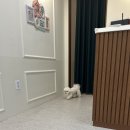 견공간샵 이미지