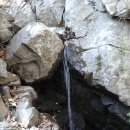 영해목장 이미지