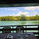 나도짱깨 치킨삼파전 | 필리핀여행#6 보홀 육상투어와 다시 세부로 가서 귀국(끝)