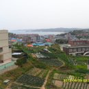 늘푸른 민박 이미지