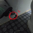 청주 변기교체 . 변기에 물이 잘 안내려가서 교체하고 싶어요~ 분평주공3단지 아파트