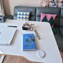 해제한의원 | “허리가 아파서 선택한 아우스 1000mm 모션 데스크 조립 후기”