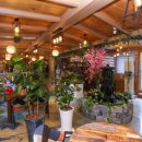 행운을 주는 산도깨비 이미지