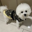 헤어바이호시 이미지