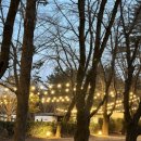 강남로(북) 이미지