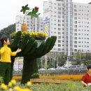 음성인삼 네이버블로그